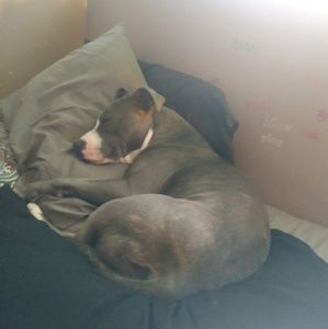 Meet your Posher, Shana